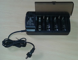 Cargador de Pilas recargables, 220V